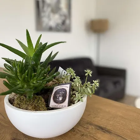 Escapade Normande Avec Son Sauna Prive בית נופש