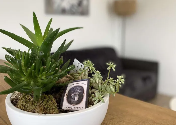 Escapade Normande Avec Son Sauna Prive Дом отдыха